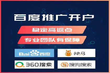 大型SEM服务公司案例分析